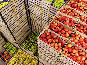Apples